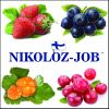 Работа для семейных пар в Европе по безвизу. Сбор урожая в Финляндии на 2018