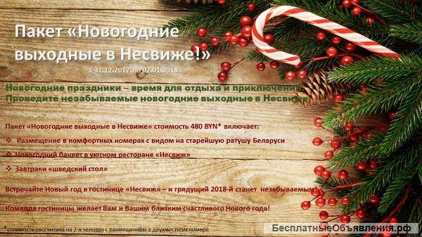 Новогодние каникулы в Беларуси. Жемчужина страны город Несвиж