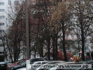 Сдается 1 комн.кв.студия.