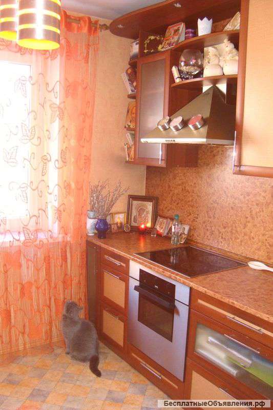 2к квартира 50 кв.м.