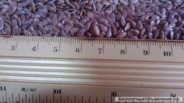 Продам ЛЁН - 500 т., рапс – 1000 т., горох – 1000 т., кориандр – 200 т.