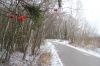 Участок площадью 6,23 соток в д. Носово.