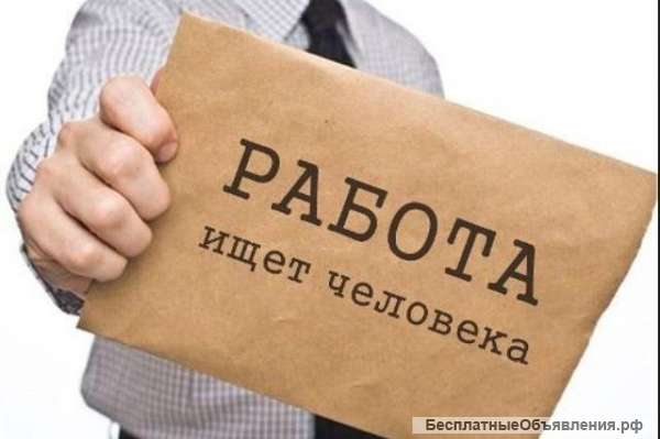 Требуется ассистент, помощник, единомышленник