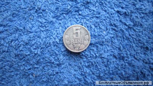 Молдавия 5 бань Монета - 2008 года (5b)