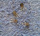 Транзисторы 2SK 2SJ (BUK BUZ) MOSFET JFET редкие (Список 3K) демонтаж оригинальные