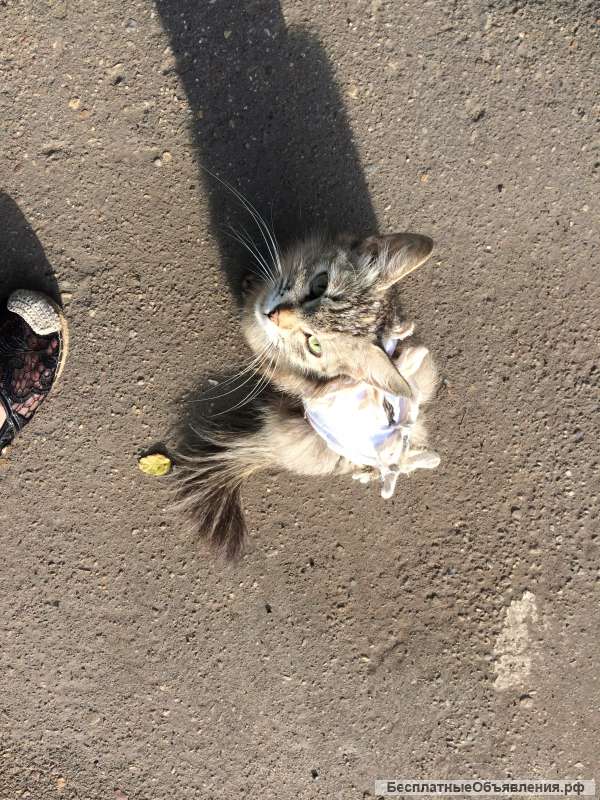 УСЛУГИ предлагаю
