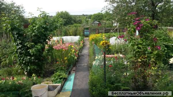 Дачные участки