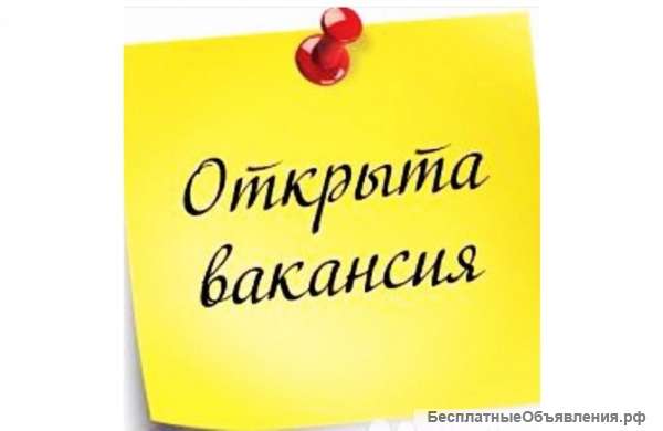 Работник-универсал (ежедневные выплаты)