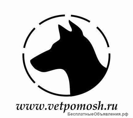 Ветеринарная помощь экзотическим животным и птицам