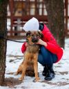 Щенки Стася и Сэм ждут своих хозяев