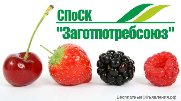 Специалист по работе с торговыми сетями