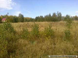 Участок огороженный 30 соток в д. Леньково, рядом река, водохранилище. Ижс