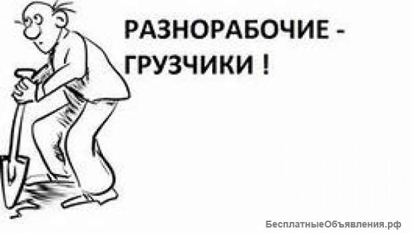 Бригада разнорабочих, грузчиков ищут подработку