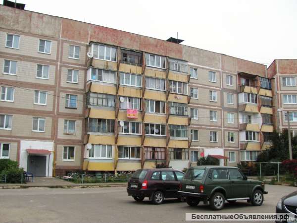 1 квартира в д.Крюково