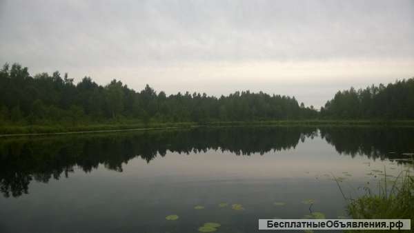 Дом с баней в живрписном местечке рядом с озером, 47 соток земли