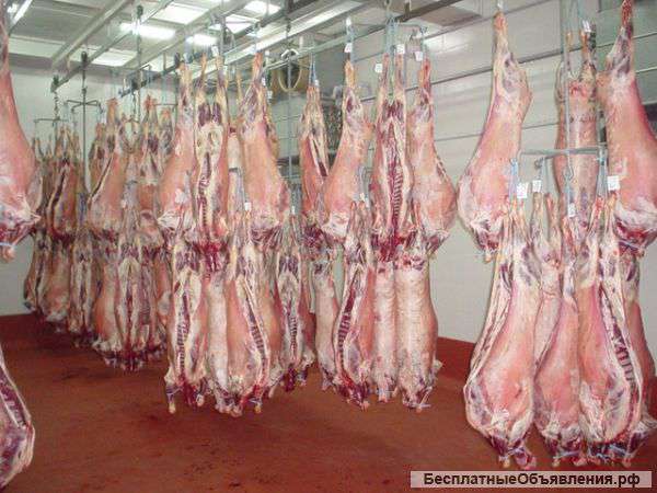 Баранина и говядина из Калмыкии.