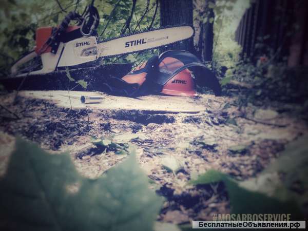 Спил, удаление, вырубка деревьев, расчистка участков