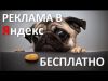Бесплатно настрою рекламную компанию Специалист по контекстной рекламе Яндекс Директ