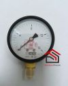 Манометр к насосу инъекционному (героторному) шнековому типа SP-25, SP-30, БМП-6