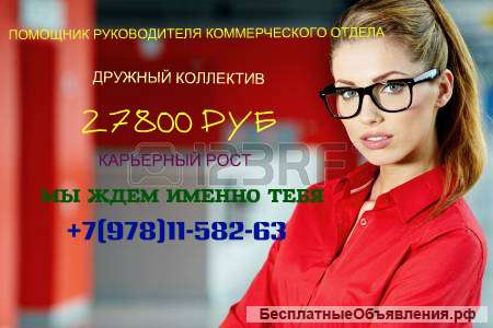 Помощник руководителя коммерческого отдела