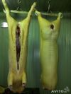 Ищу инвестора в бизнес