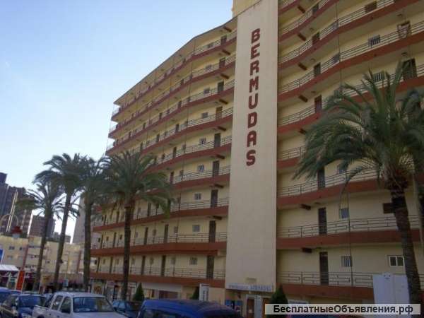 Апартаменты площадью 40 кв.м, 1 спальня, Коста Бланка север, Benidorm, Испания