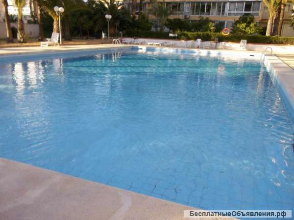 Апартаменты площадью 40 кв.м, 1 спальня, Коста Бланка север, Benidorm, Испания