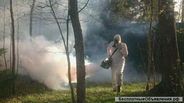 Уничтожение клещей комаров и кротов на участке в Городце