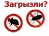 Уничтожение насекомых и грызунов