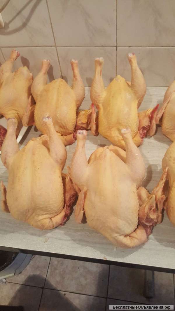 Домашнее мясо кур