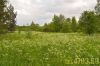 Продается земельный участок в п. Судаково