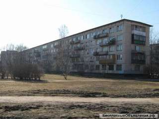 2 х комнатная квартира