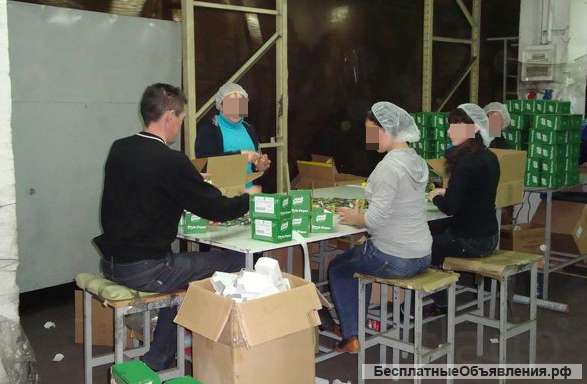 Фасовщик-упаковщик