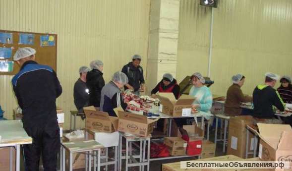 Фасовщик-упаковщик