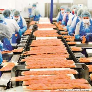Рабочие на производство рыбной продукции Koral (Польша)