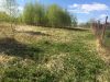 Дачный участок 6,2 сотки в СНТ Лесное-1, п. Пролетарский