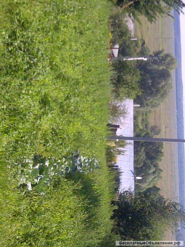 Продается земельный участок в г.Гороховец, д.Куприяново, Владимиркой обл.