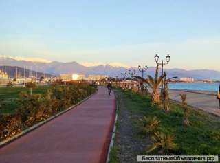 2- комнатная квартира в олимпийском парке