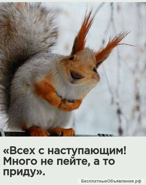 Помощник руководителя