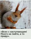 Помощник руководителя