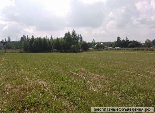 15 соток в д. Демёнково