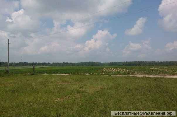 15 соток в д. Демёнково