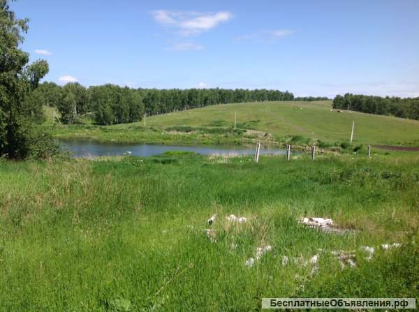 Земельный участок 32,5 га.-ЛПХ населенных пунктов в черте города