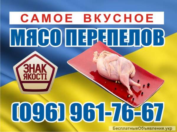 Мясо перепелов с домашней мини фермы