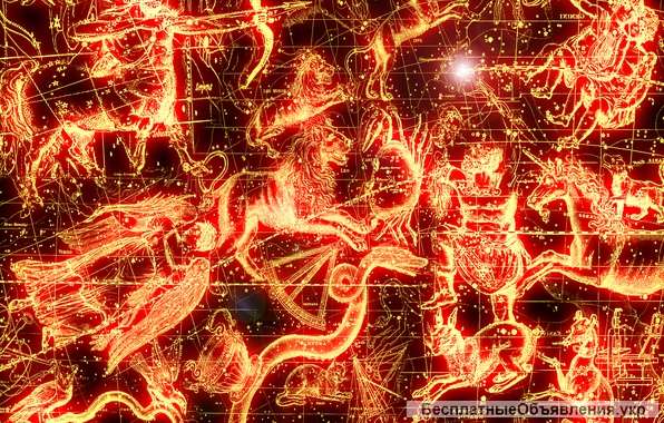 Структурный 12-летний прогноз карьеры по годовому знаку