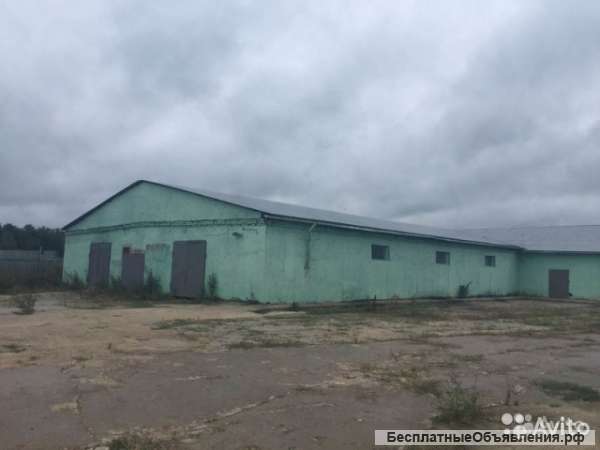 Складское помещение 779 кв.м.