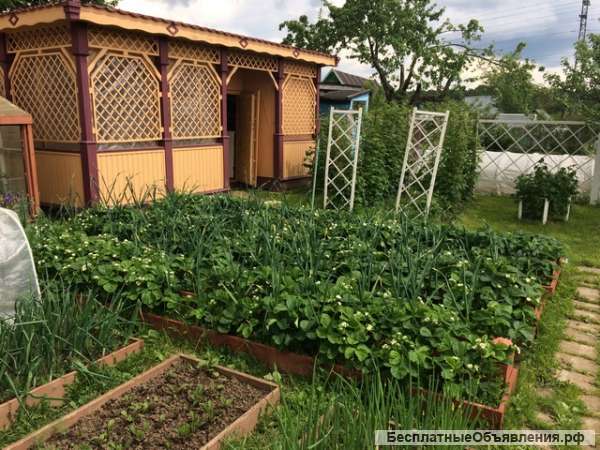 Дачный участок с летним домиком