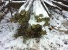Ул. Седова дом 61 пом. 7н
