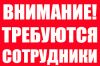 Оператор