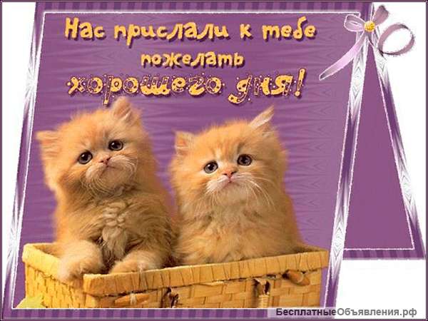 Сиделка, няня, домработница
